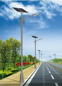 1742827545426759.jpg 西和太阳能路灯.jpg