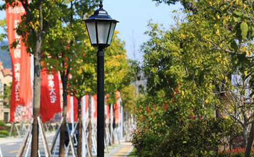 西和装庭院灯避坑指南：庭院路灯防雷接地要点